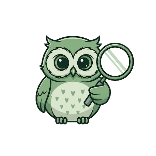 BoardBreeze Owl logo